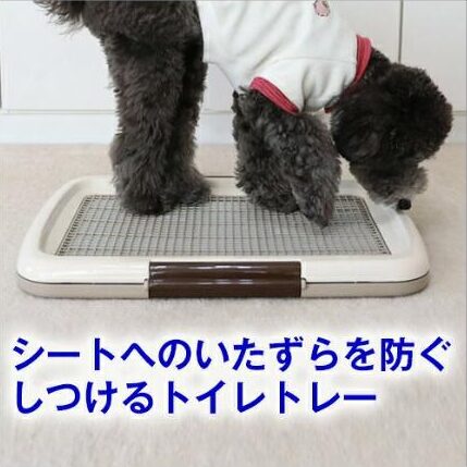 ボンビアルコン しつけるトレー メッシュプラス